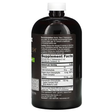 Nature's Way, Chlorofresh, жидкий хлорофилл, с ароматом мяты, 132 мг, 473,2 мл (NWY-03501), фото