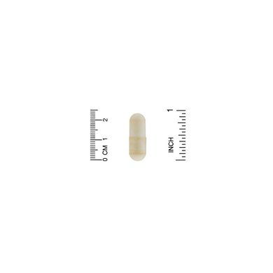 Вітамін C, California Gold Nutrition, 1000 мг, 240 капсул (CGN-00932), фото