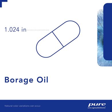 Масло Огуречника, Borage Oil, Pure Encapsulations, 60 капсул, (PE-01208), фото