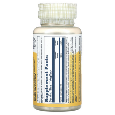 Solaray, Вітамін B6, уповільнене вивільнення, 100 мг, 60 рослинних капсул (SOR-12742), фото