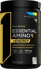 Rule 1, Essential Amino 9 + Energy, Blue Razz лимонад, 345 г (RUL-10845), фото