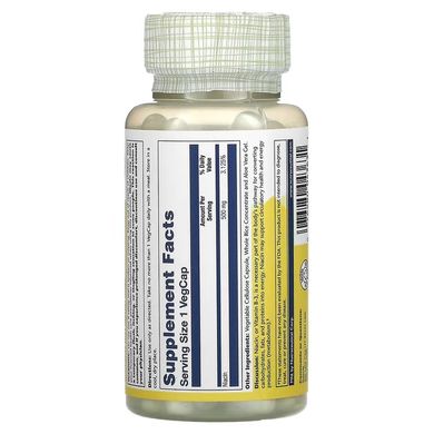 Solaray, ніацин, 500 мг, 100 капсул (SOR-04363), фото