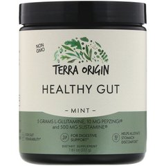 Terra Origin, Healthy Gut, вкус мяты, 222 г (7,83 унции) (TEO-00757), фото
