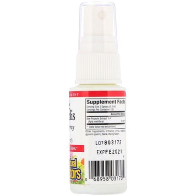 Спрей для горла (прополис), Throat Spray, Natural Factors, 30 мл (NFS-03170), фото