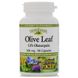 Natural Factors NFS-04570 Экстракт листьев оливы, Olive Leaf, Natural Factors, 500 мг, 90 капсул (NFS-04570) 1
