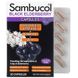 Sambucol SBL-00162 Sambucol, капсулы черной бузины с комплексом Advanced Immune, витамином C и цинком, 30 капсул (SBL-00162) 1