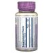 Solaray SOR-11664 Белокопитнік, Butterbur, Solaray, екстракт кореня, 50 мг, 60 капсул (SOR-11664) 2