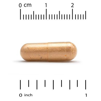 California Gold Nutrition, Мультивітаміни для щоденного прийому, 60 рослинних капсул (CGN-01990), фото