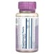 Solaray SOR-11107 Экстракт родиолы, Super Rhodiola Extract, Solaray, 500 мг, 60 капсул (SOR-11107) 2