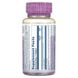 Solaray SOR-37768 Solaray, Vital Extracts, звіробій, 900 мг, 60 таблеток (SOR-37768) 2