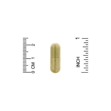 California Gold Nutrition, Fisetin with Novusetin, физетин, 100 мг, 30 растительных капсул (CGN-01843), фото