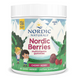 Nordic Naturals NOR-30126 Nordic Naturals, Мультивитаминный комплекс "Северные ягоды" с вишневым вкусом, 120 жевательных пастилок в форме ягод (NOR-30126) 1