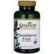 Swanson SWV-11065 Витекс священный, ягоды, Chasteberry Fruit, Swanson, 400 мг, 120 капсул (SWV-11065) 1